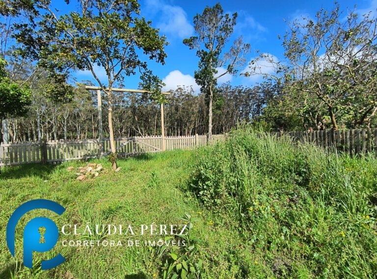 WhatsApp Image 2025-09-17 at 16.31.07 (1)