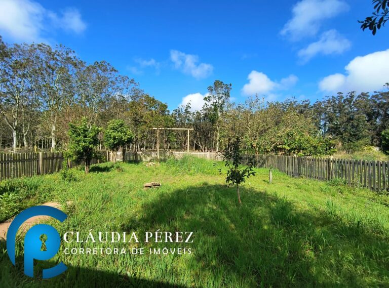 WhatsApp Image 2025-09-17 at 16.31.07