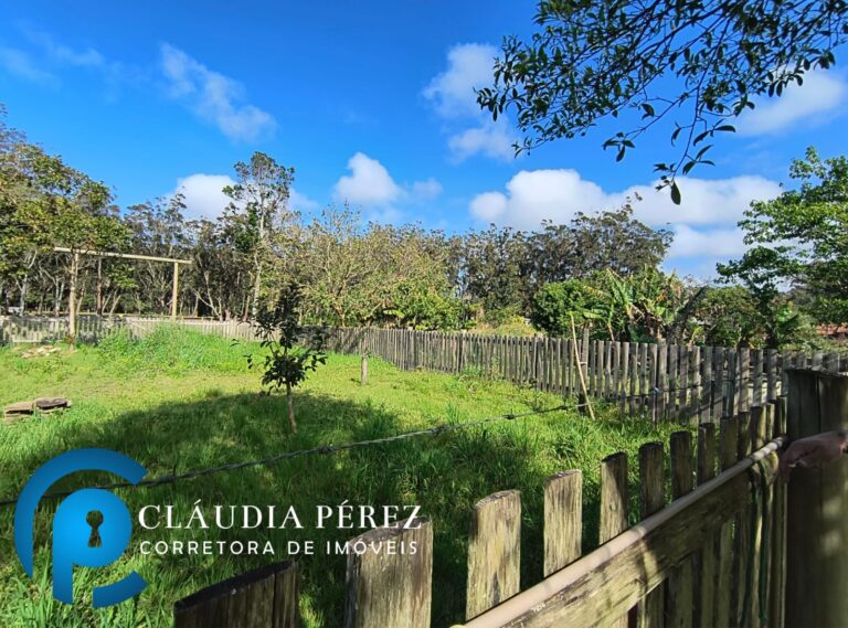 WhatsApp Image 2025-09-17 at 16.31.08 (1)