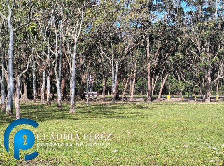 WhatsApp Image 2025-09-17 at 16.31.08