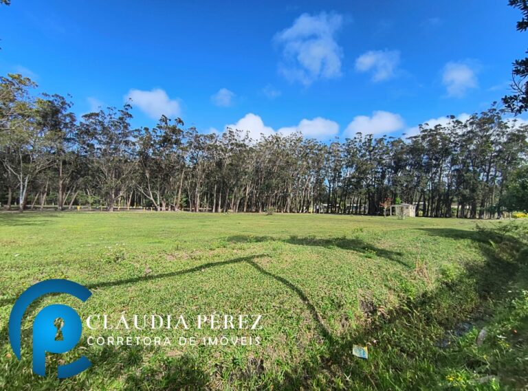 WhatsApp Image 2025-09-17 at 16.31.10