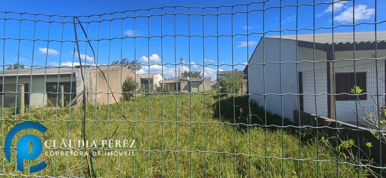 WhatsApp Image 2025-09-26 at 11.45.17