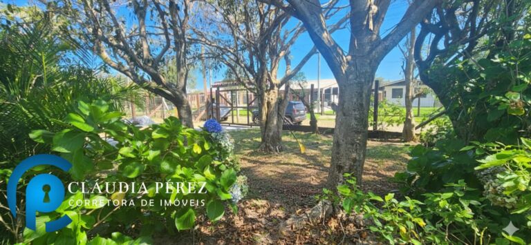 20c7d10b-0d84-4fba-a524-bdd958aa9b5b