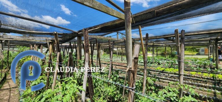 17bcc020-1b05-4848-bcb6-db869e44312a