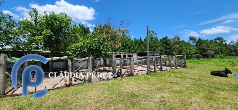 21d3c880-d14e-4d1e-a87e-445b4c627799