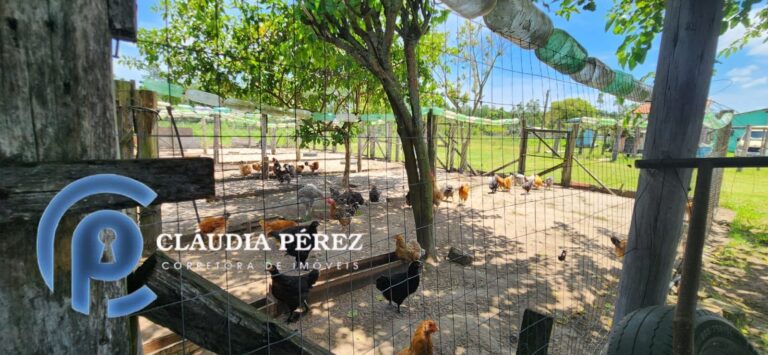 22099169-0dce-4c43-a261-133e5818a312