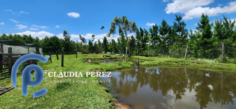 22ce1c40-d4b2-4f24-9511-3baa5c6dae54