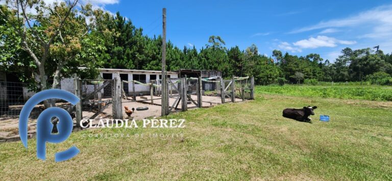 43f9d506-ac54-405e-98d1-9a8ff3f00aa1