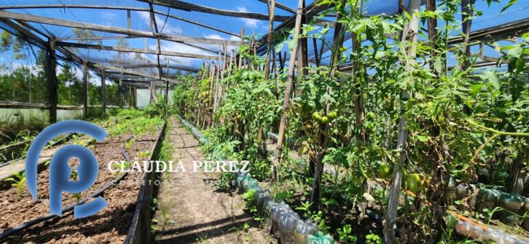 8dd6ef13-bc1b-4999-9d64-84f607c1d071