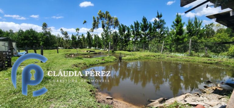 cd60048e-f3c4-4891-bdcf-a14eece71700