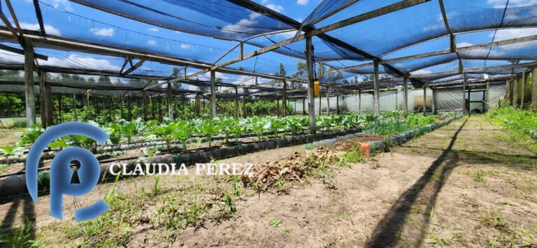 d01508d8-8de8-4b3c-9c9a-1437763e2100