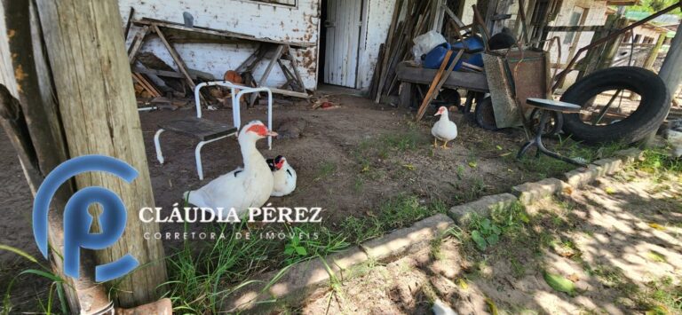 d2c85ef5-9603-41b5-a99a-f9238aba8d15