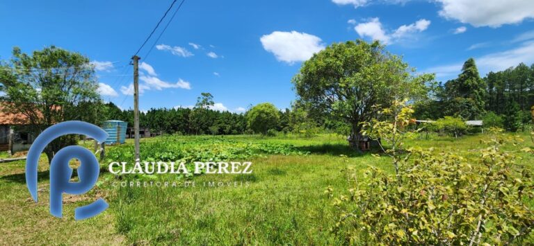 d8020a99-4dd9-4a88-9bf1-b0af243271a4