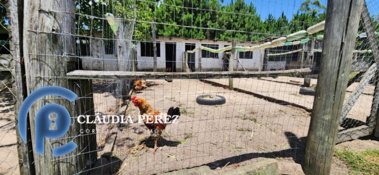 d9118e3a-18e9-4d36-b29b-1d3518fd0826