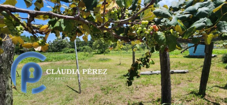 e1843826-419d-49ed-badc-f9dfeb0cd3ca